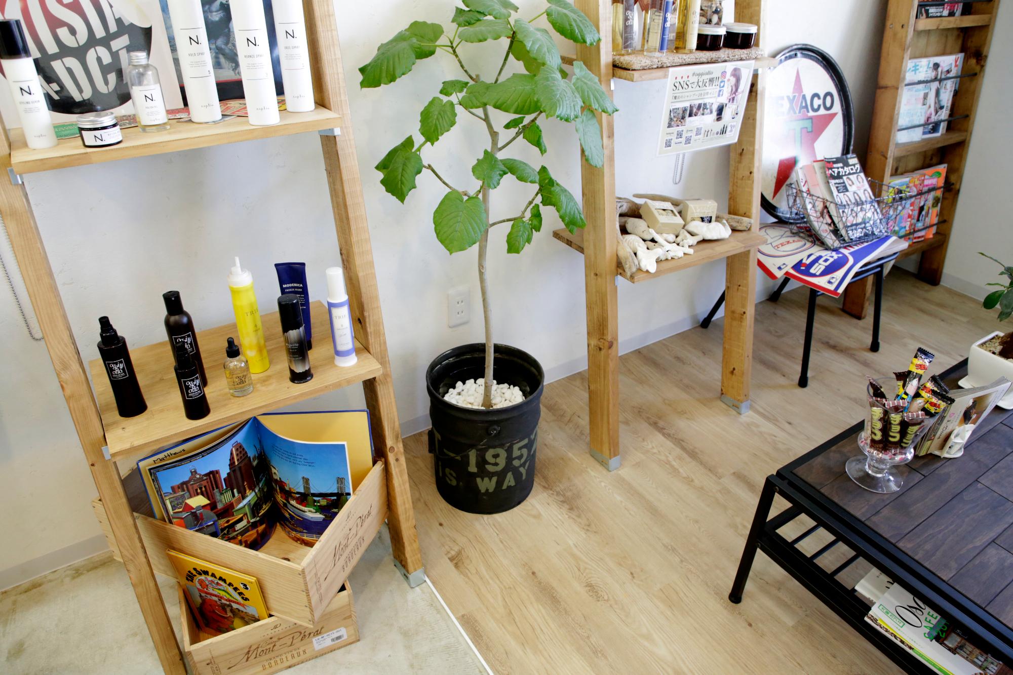 店舗内部の様子を写した写真。観葉植物やヘアケア用品が並べられた棚などが置かれている。