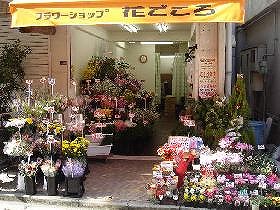 フラワーショップ花ごころ